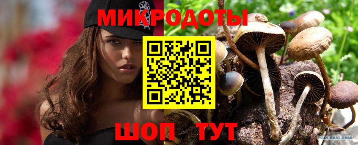 Псилоцибиновые грибы Psilocybe Миллерово