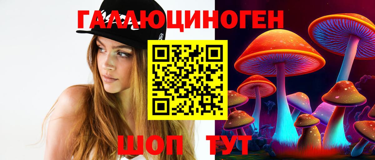 Миллерово  Псилоцибиновые грибы Psilocybine cubensis  Вход с VPN 